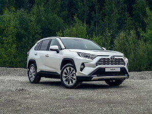 Коврики EVA для Toyota Rav4 V (suv / MXAA52/MXAA54 AT) 2018 - Н.В.