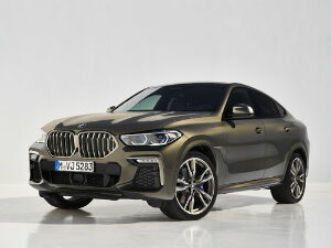 Коврики EVA для BMW X6 III (suv / G06) 2019 - Н.В.