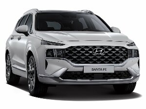 Коврики ЭВА "" для Hyundai Santa Fe IV (suv  5 мест / TM) 2021 - Н.В., ые, 5шт.