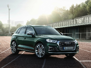 Коврики EVA для Audi SQ5 (suv / FY) 2016 - Н.В.